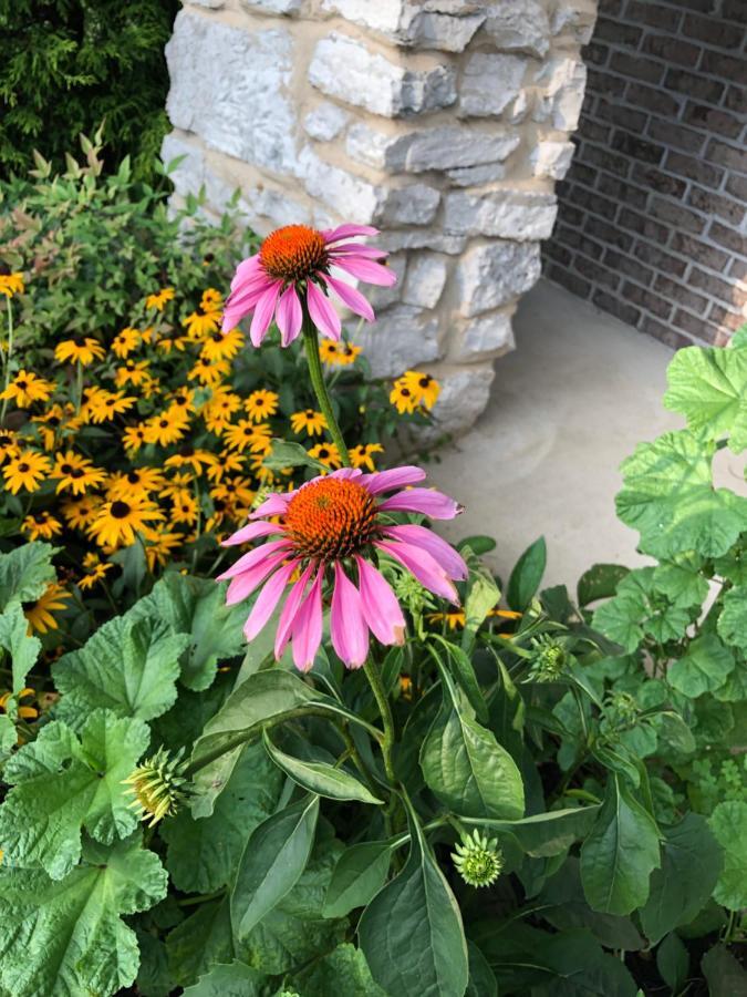 Winnie'S Bed & Breakfast Lawrenceburg Экстерьер фото
